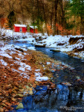 Strawberry Hills Nature Preserve 025486