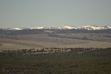 Zion N.P., UT