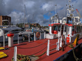 IMG_20190911_115333.jpg