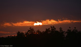 Sunset at Ding Darling NWR