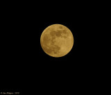 Strawberry Moon