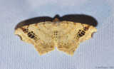 Common Angle