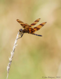 Halloween Pennant