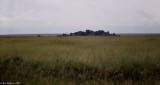 Serengeti Plains and Kopje