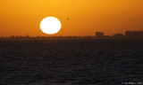 Sunrise over the Gulf