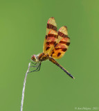 Halloween Pennant 