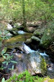 Moor Pictures on Bullheard Creek 