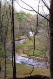  Hike to day, Elkin Creek . 3.51 miles Elev Gain 1128 ft.