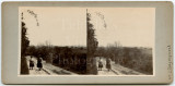 Victorian Stereoview Photo