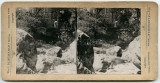 Victorian Stereoview Photo