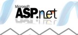 ASP.NETDevelopment Company