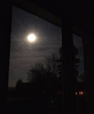Moonshine Windows