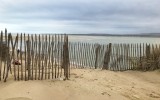 Stranger on the Shore 