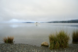 Te Anau, Milford Sound