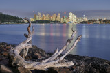 Sydney Landscapes