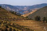 Valena do Douro