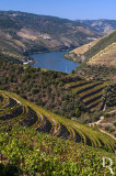 Paisagens do Douro