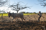 Vilarinho de Agrocho