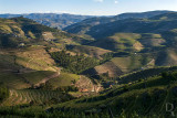 Regio do Alto Douro