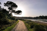 A Lagoa de bidos em 20 de fevereiro de 2019