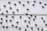 CALDAS DA RAINHA - Fábrica Bordallo Pinheiro