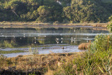 A Lagoa de bidos em 6 de setembro de 2019