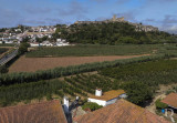 Óbidos em 6 de agosto de 2020