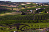 Torres Vedras - Rota do Vinho