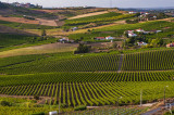 Torres Vedras - Rota do Vinho