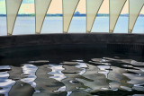 Charleston, South Carolina Aquarium 