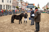 748e Viaanse Paardenmarkt