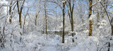 Snowy Pan Glen Falls Park