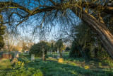 All Saints Church Graveyard