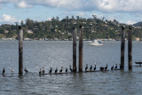 Sausalito 17.Feb.2019
