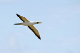 norfolk_photos_re_visited