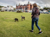 Esplanade Hotel, Strand Road, Bray, Ireland