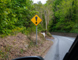 SIGNS
