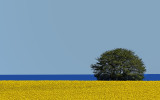En gammal bild med skarpa Photoshop-färger. Fult eller snyggt? Tacksam för dina åsikter!
