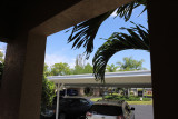 at home in florida