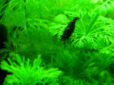 IMG_6357s.jpg