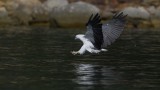 Broken Bay 08042019