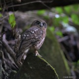 AI-S 180mmf2.8ED