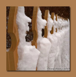 Line of Palace guards standing at attention