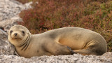 5E9A0973.jpg