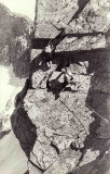 Grimpeurs sur l'arête de Costerillou