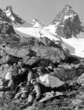 Popo et J. Lasserre au Grand Barbat