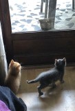 Na na nre... on fait ce quon veut, na !
