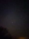 Procyon. Betelgeuse. Orion. Rigel  Sirius