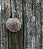 Old barn wood and nail