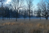 Open Space